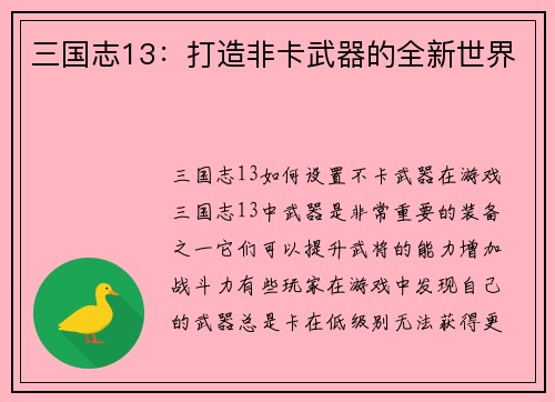 三国志13：打造非卡武器的全新世界